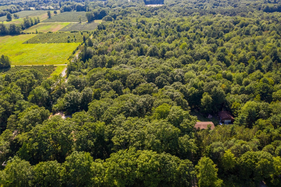 20200717-DJI_0324