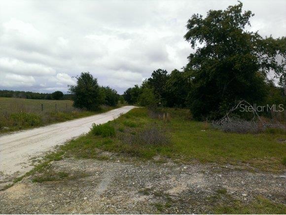 7051 SE 210 Ave, Morriston, FL 32668 - photo 1