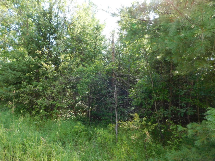 DSCN5613