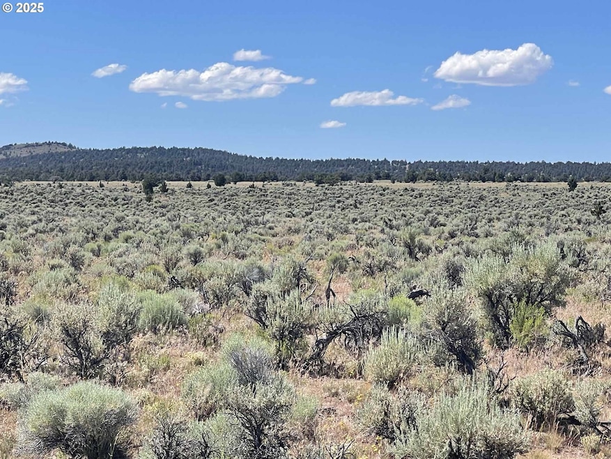 0 Benjamin Lake Rd unit L 502 528239259, Christmas Valley, OR 97641 - photo 1