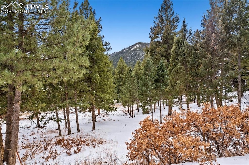 Mountain view with a view of trees