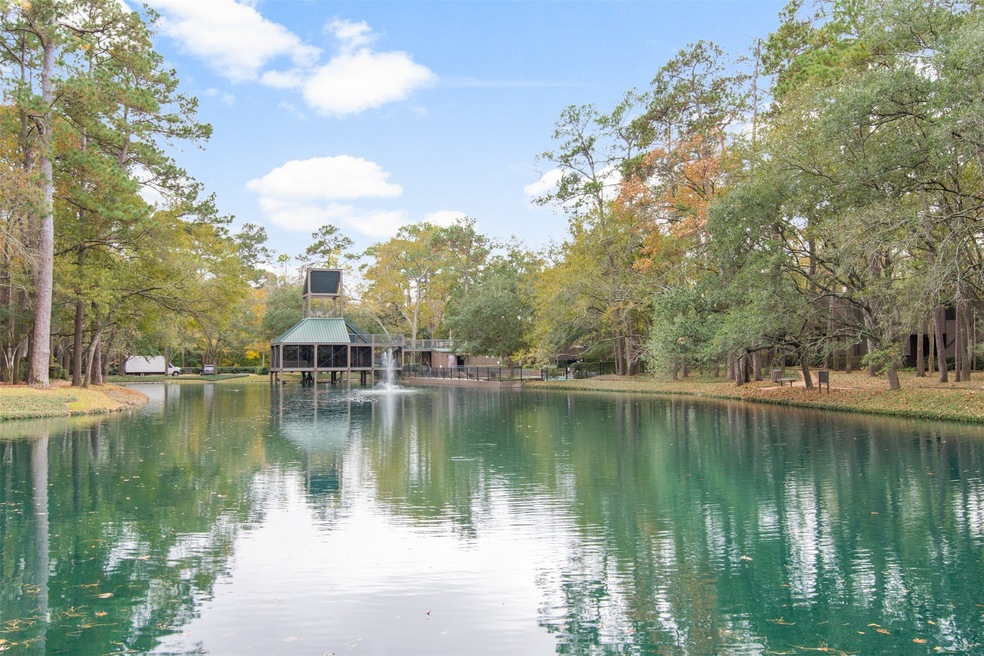 269 Litchfield Ln, Houston, TX 77024 - photo 1