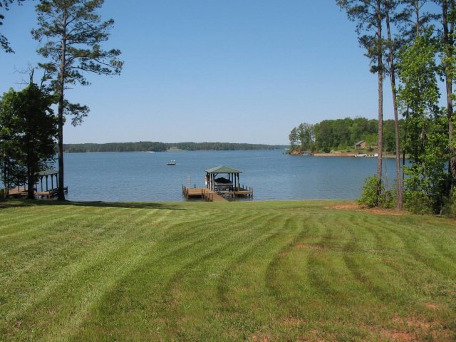 Main View