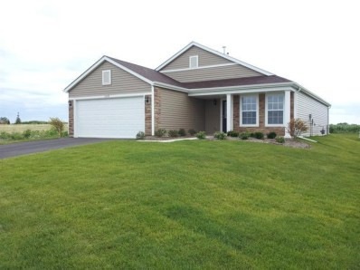 13529 W 105th Place, Dyer, IN 46311 - photo 1
