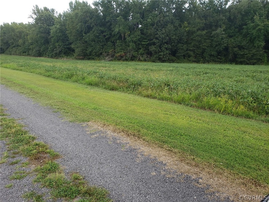 13417 Hines Rd, Disputanta, VA 23842 - photo 1