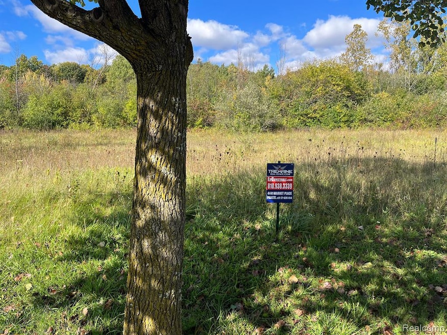 4441 Market Place, Flint, MI 48506 - photo 1