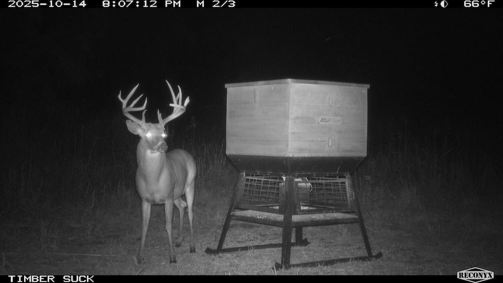 12550, Sharon, KS 67138 - photo 1