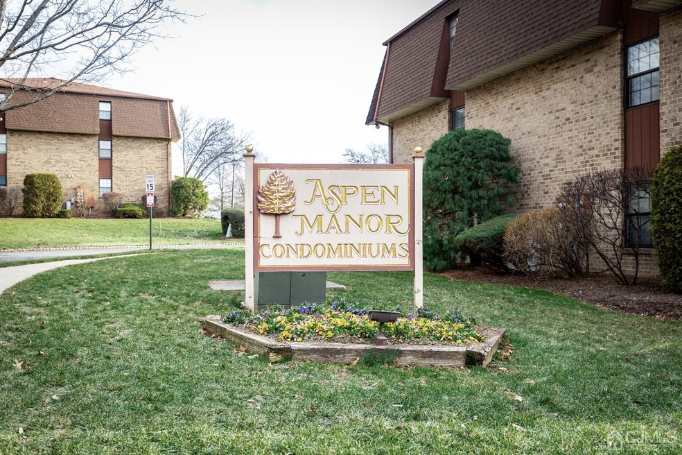 248 Alpine Way unit B, Woodbridge Township, NJ 07095 - photo 1