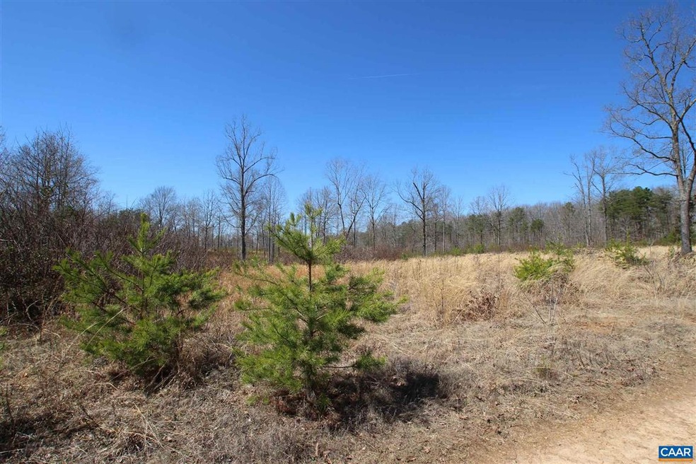 Lot A Beaver Creek Rd, Orange, VA 22960 - photo 1