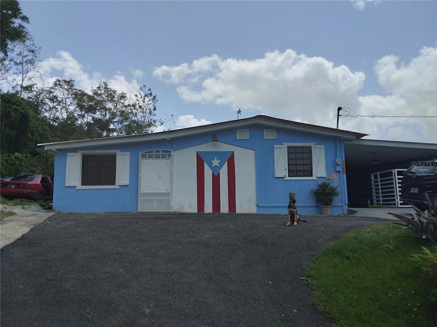 Carr. 156 R777 Km 1., Aguas Buenas, PR 00703 - photo 1