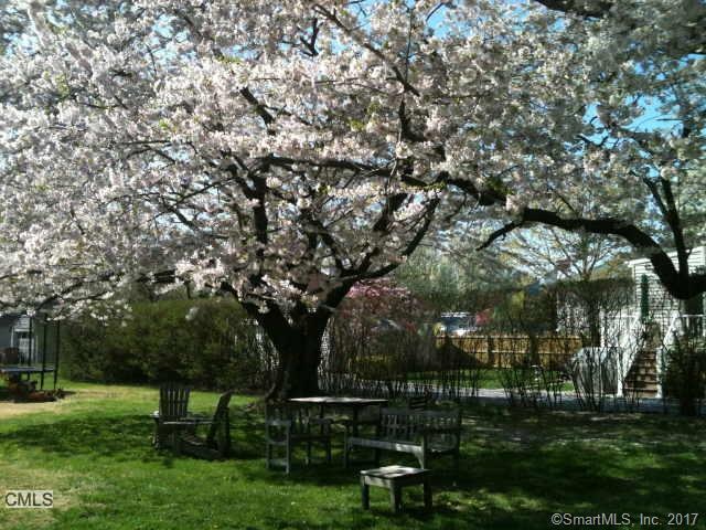 641 Fairfield Ave, Stamford, CT 06902 - photo 1