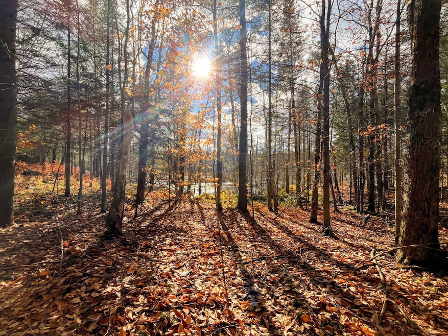 00 Boyd Pond Rd unit Lot 8 & 9, Russell, NY 13684 - photo 1