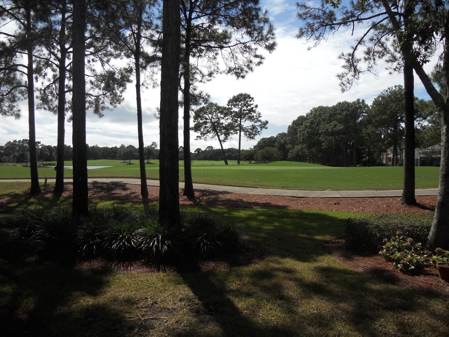 Views of Raven Course.