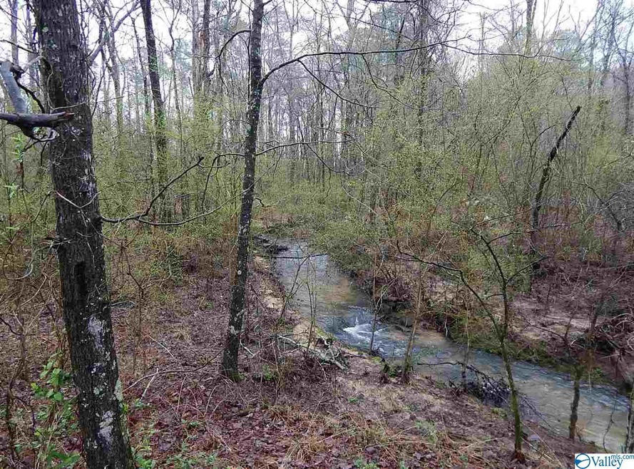 0 Randles Rd unit 1113269, Grant, AL 35747 - photo 1