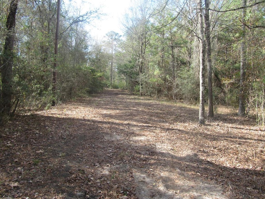 778 Hortons Hollow Rd, Lufkin, TX 75904 - photo 1