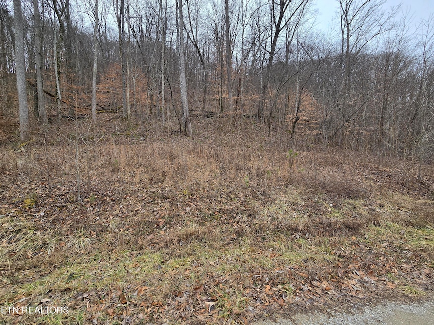 lot 5 Apache Rd, Jamestown, TN 38556 - photo 1