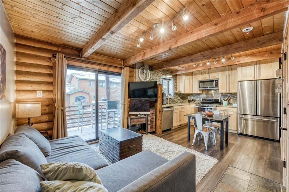 100 Cove Blvd unit B, Dillon, CO 80435 - photo 1