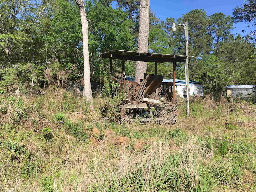 16555 Gantt Lake Rd, Dozier, AL 36028 - photo 1