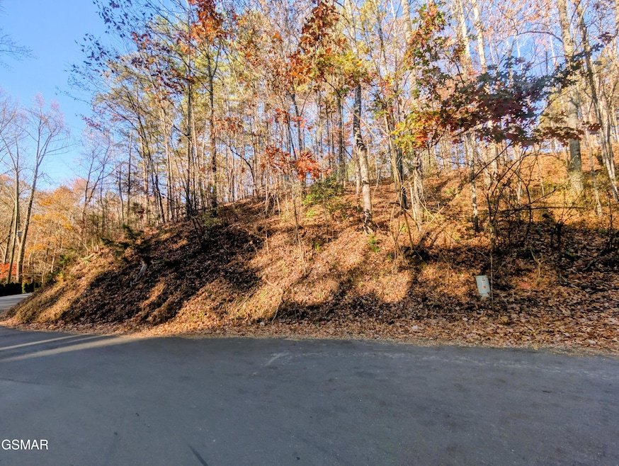 Lot 483 School House Gap Rd, Sevierville, TN 37876 - photo 1