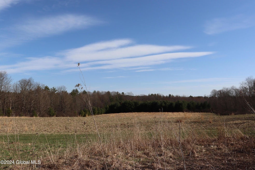 1 Chuck Hollow Dr, Milton, NY 12020 - photo 1