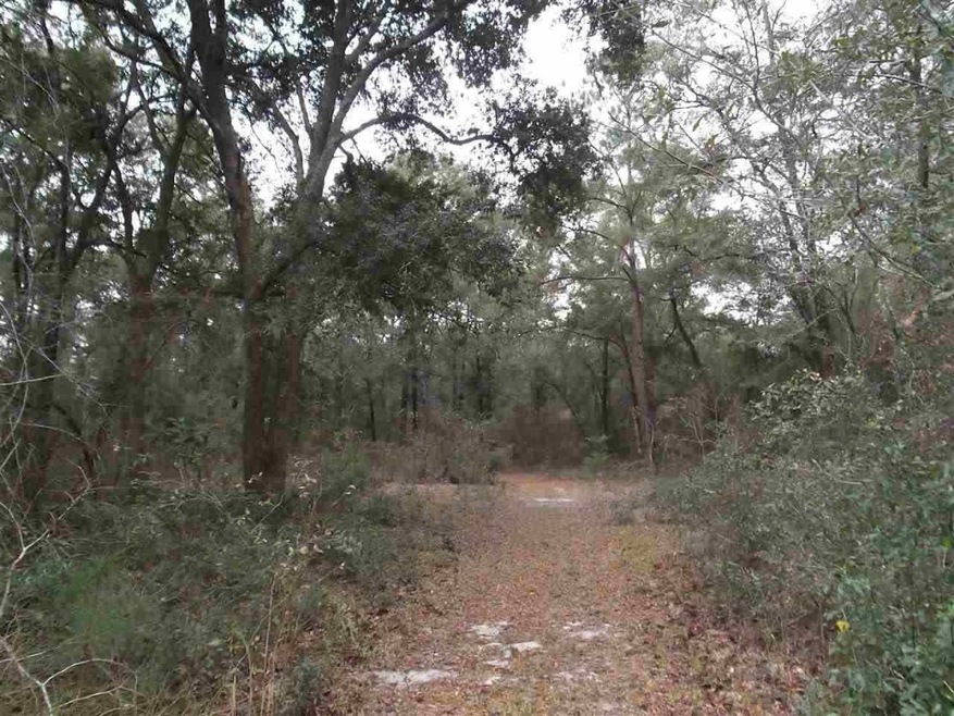 X Whaley Ct unit x, Crawfordville, FL 32327 - photo 1