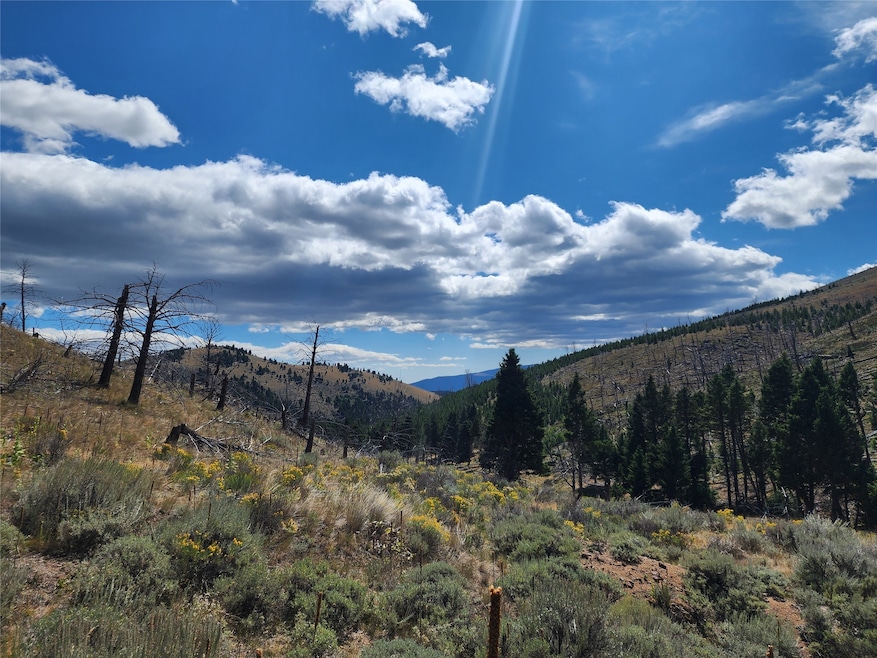 NHN Plaindealer Lode Depot Hill Rd, Boulder, MT 59632 - photo 1