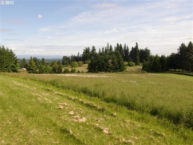 25025 SW Mountain Rd, West Linn, OR 97068 - photo 1