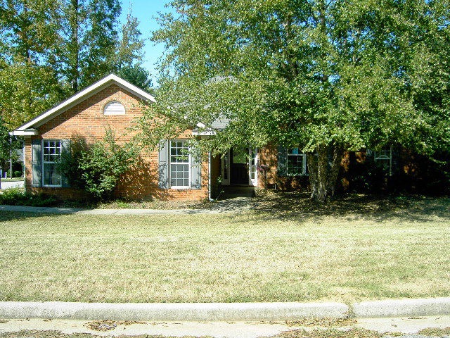 Main View