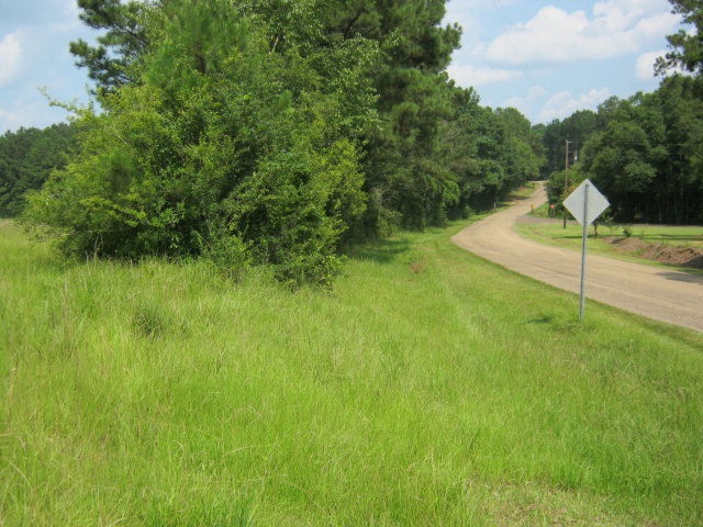 000 Martin Rd, Summit, MS 39666 - photo 1