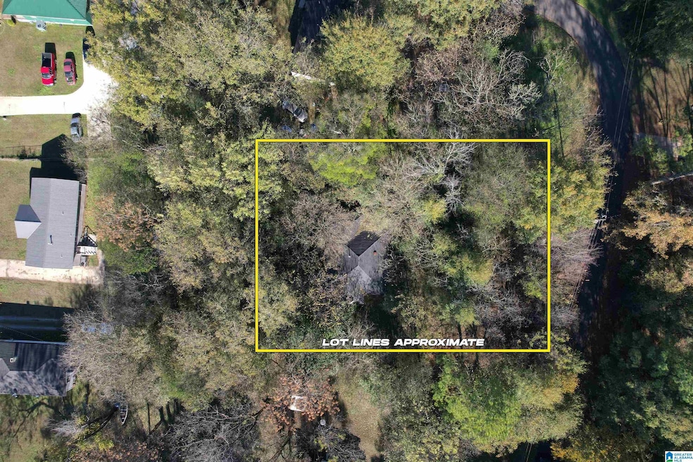 410 Washington St, Bessemer, AL 35020 - photo 1