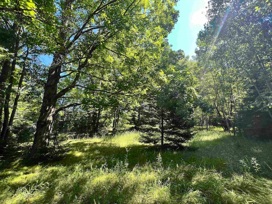 N8198 Sebero Rd, Porterfield, WI 54159 - photo 1