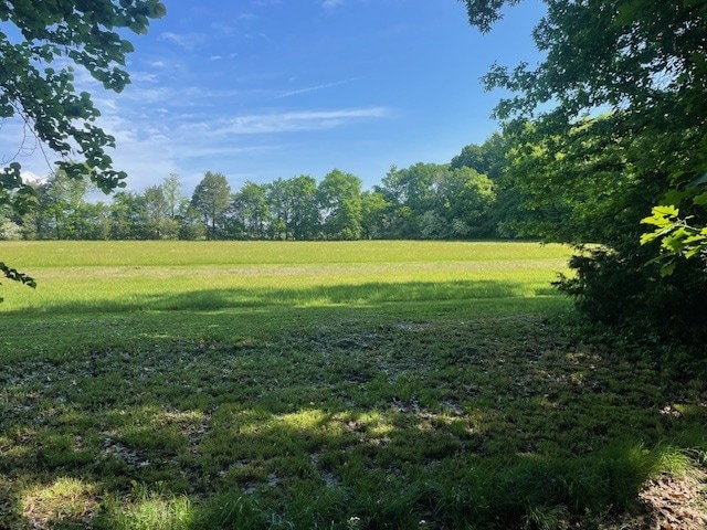 307 Henderson Rd, Shelbyville, TN 37160 - photo 1