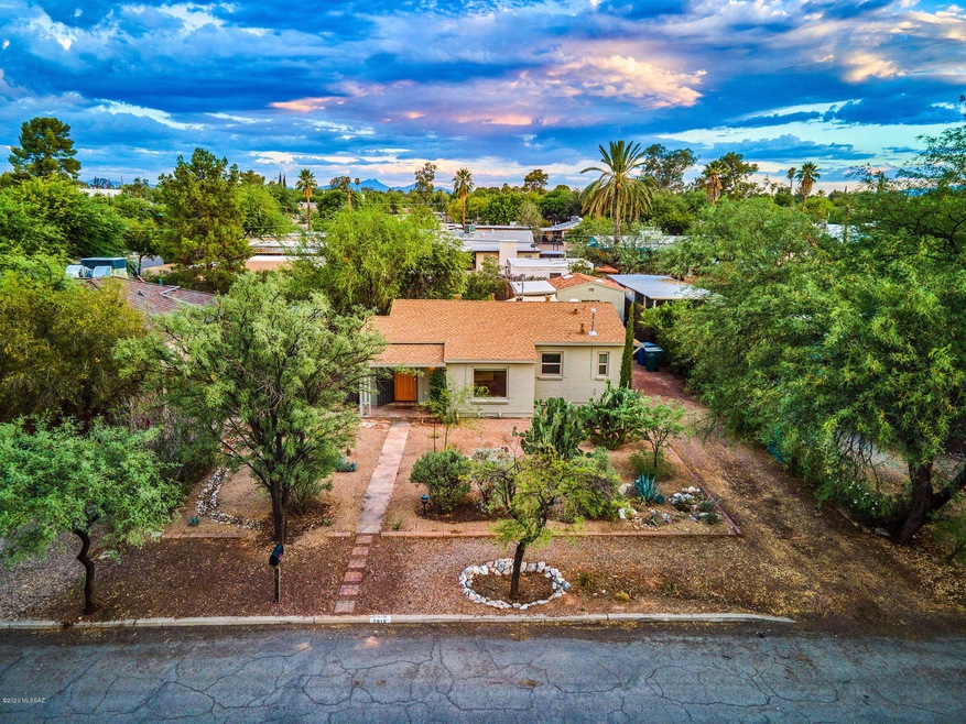 Front from above