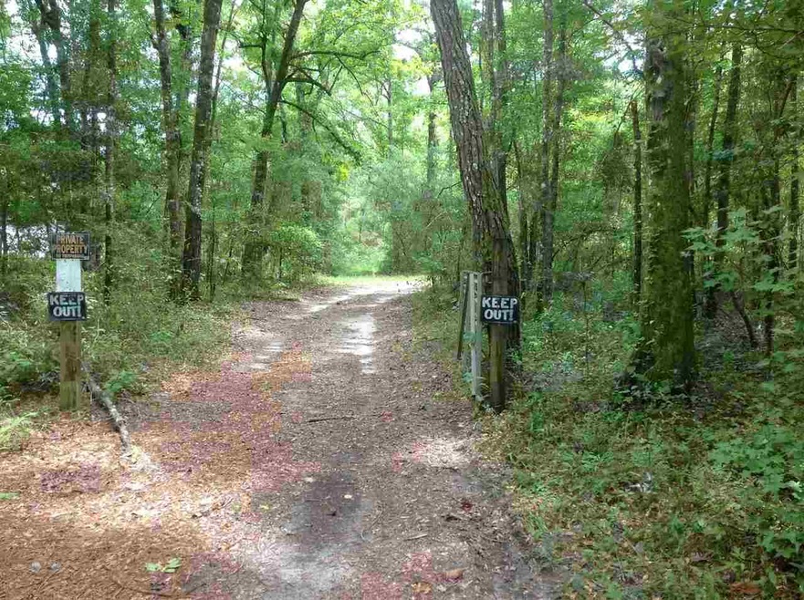 7 Briar Trail, Crawfordville, FL 32327 - photo 1