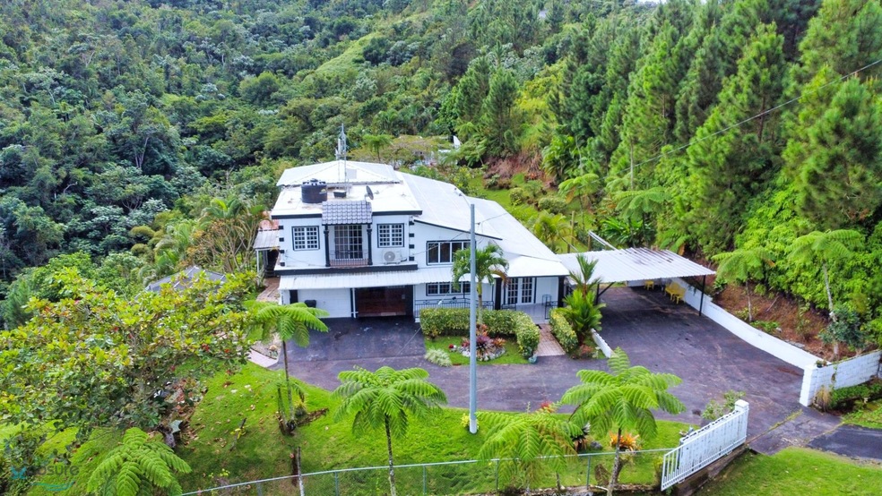 1 4 Hm Street 146 Route 608 Km 6 Ciales Pr 00638 unit 1, Ciales, PR 00638 - photo 1