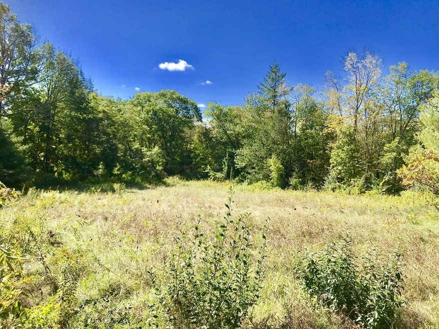 139 Paxton Rd, Spencer, MA 01562 - photo 1