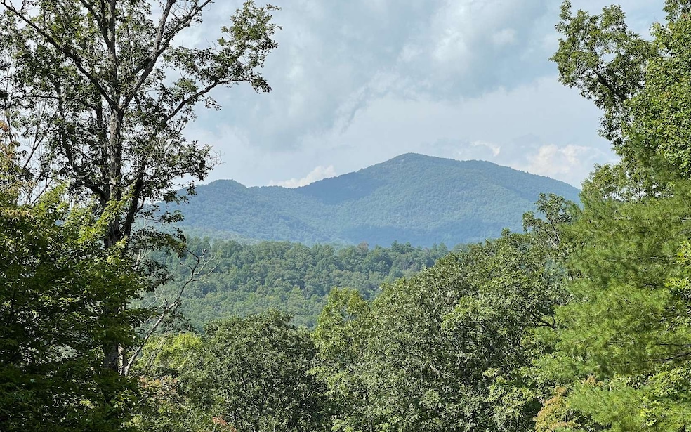 LOT 9 Wolfpen Gap Sub, Hiawassee, GA 30546 - photo 1