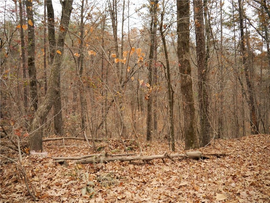 View of the property from the road.