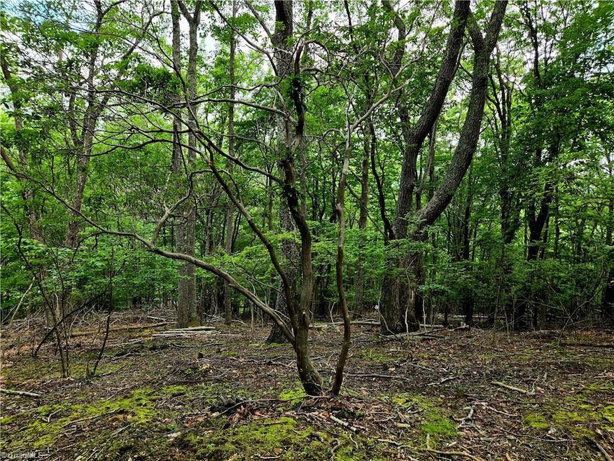 TBD Red Fox Trail, Boone, NC 28607 - photo 1