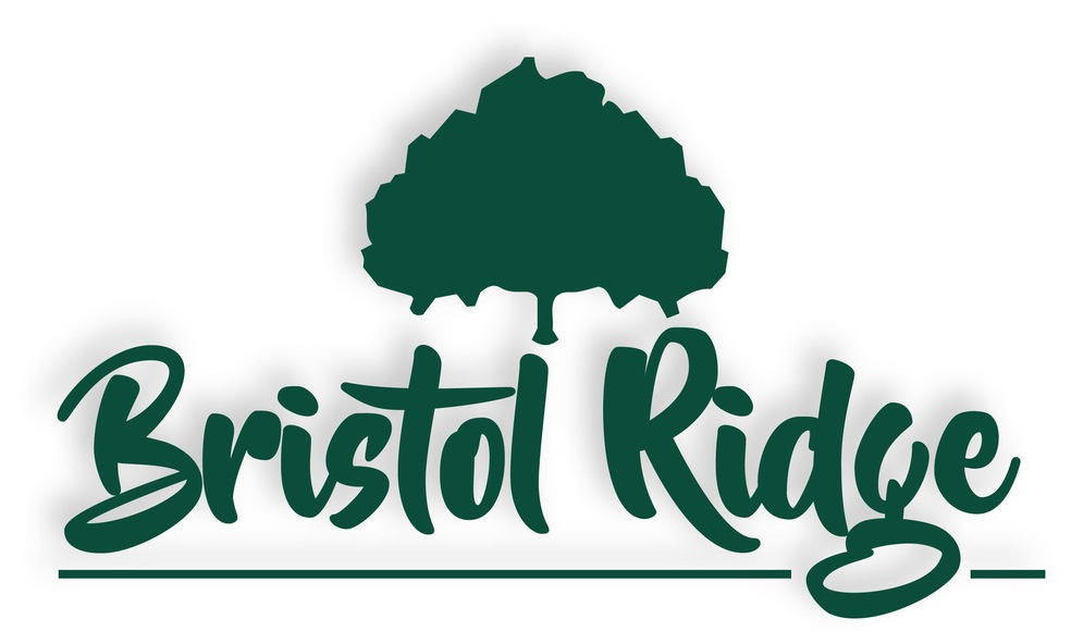 LOT 226 Easley Cabin Lp, Columbia, MO 65203 - photo 1