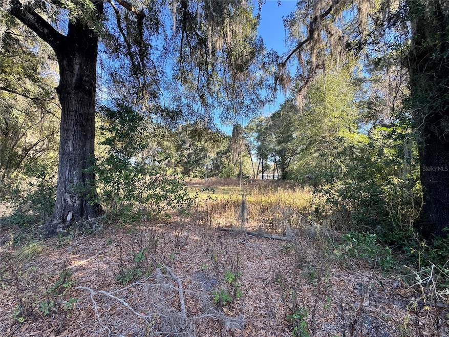 17901 NE 18th Ave, Citra, FL 32113 - photo 1