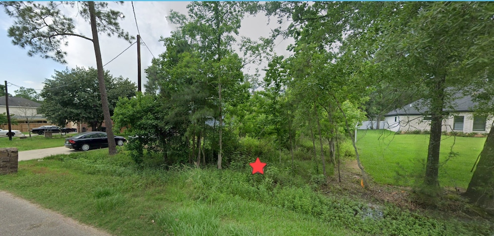 1316 Briarcliff St, Conroe, TX 77385 - photo 1