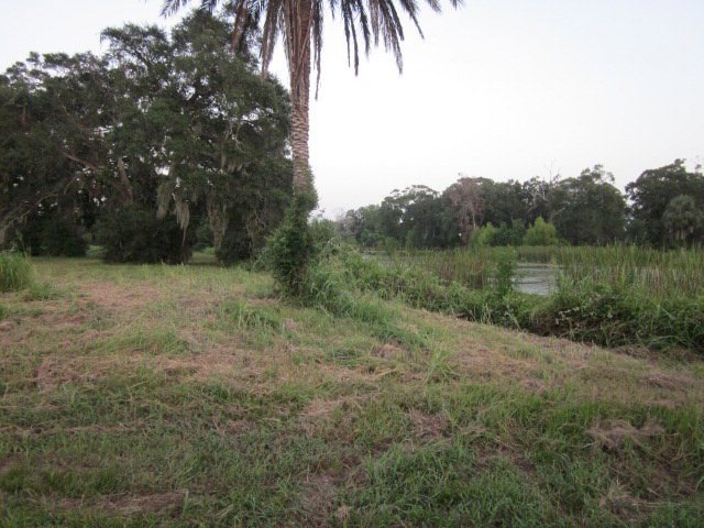 0 Crnr Cr 461a & Jerry St, Brazoria, TX 77422 - photo 1