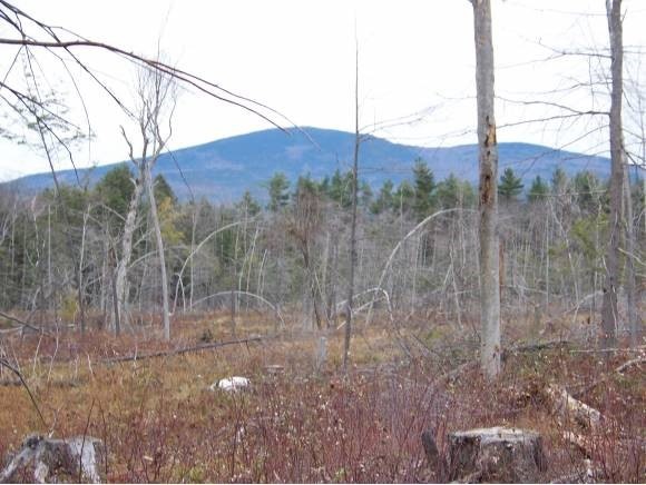 000 Seamans Rd, New London, NH 03257 - photo 1