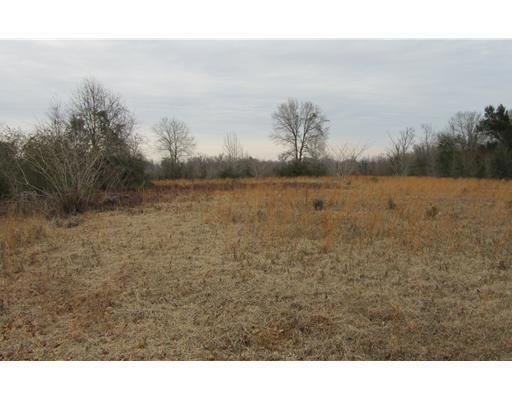 Land/Lot.