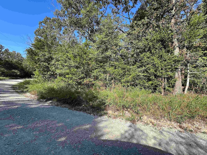 Lots 1 & 2 Round Mountain Dr, Flippin, AR 72634 - photo 1