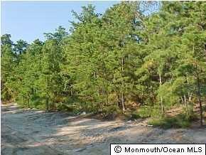 5 Spy Glass Ave, Barnegat, NJ 08005 - photo 1