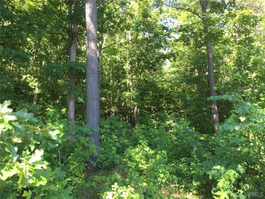 13445 Palmer's Way, Glen Allen, VA 23059 - photo 1