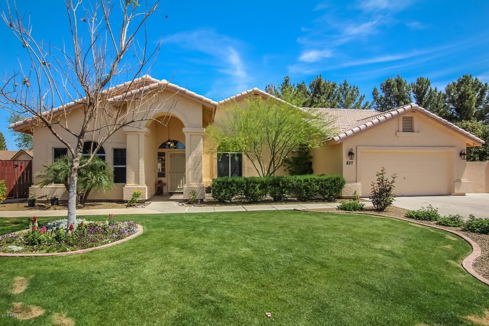Welcome home!