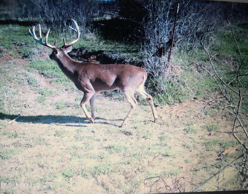 001 Farr Rd, Bolton, MS 39041 - photo 1